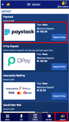 Betking paystack.png