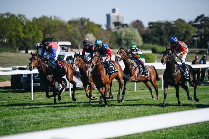 A professional horse race with jockeys