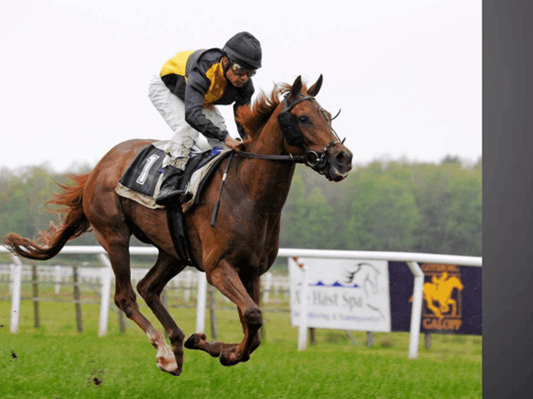 man riding horses