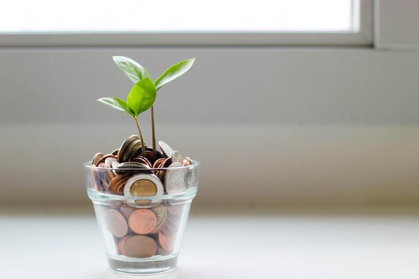 Coins in a planter